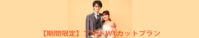 banner_wplan101_sn
