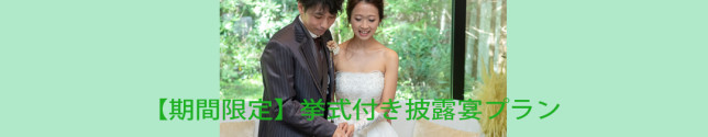 banner_wplan105_sn